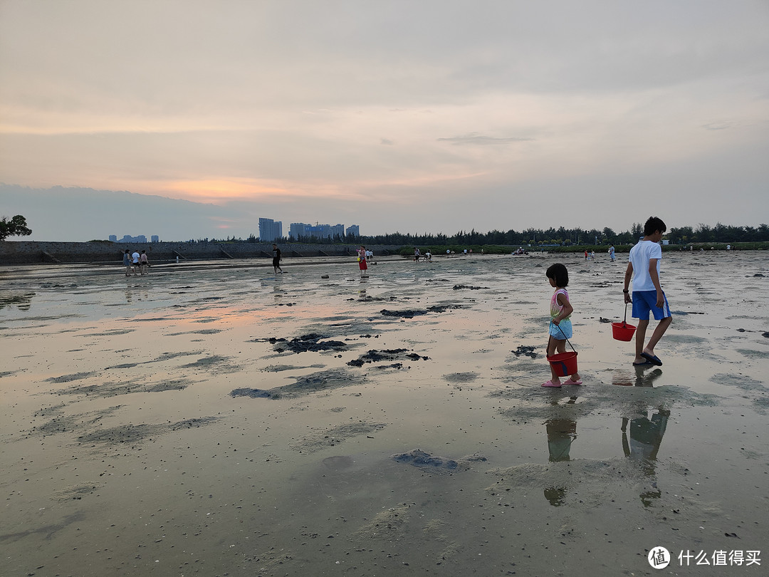 带着海洋生物科普漫画书书-《我们去赶海》