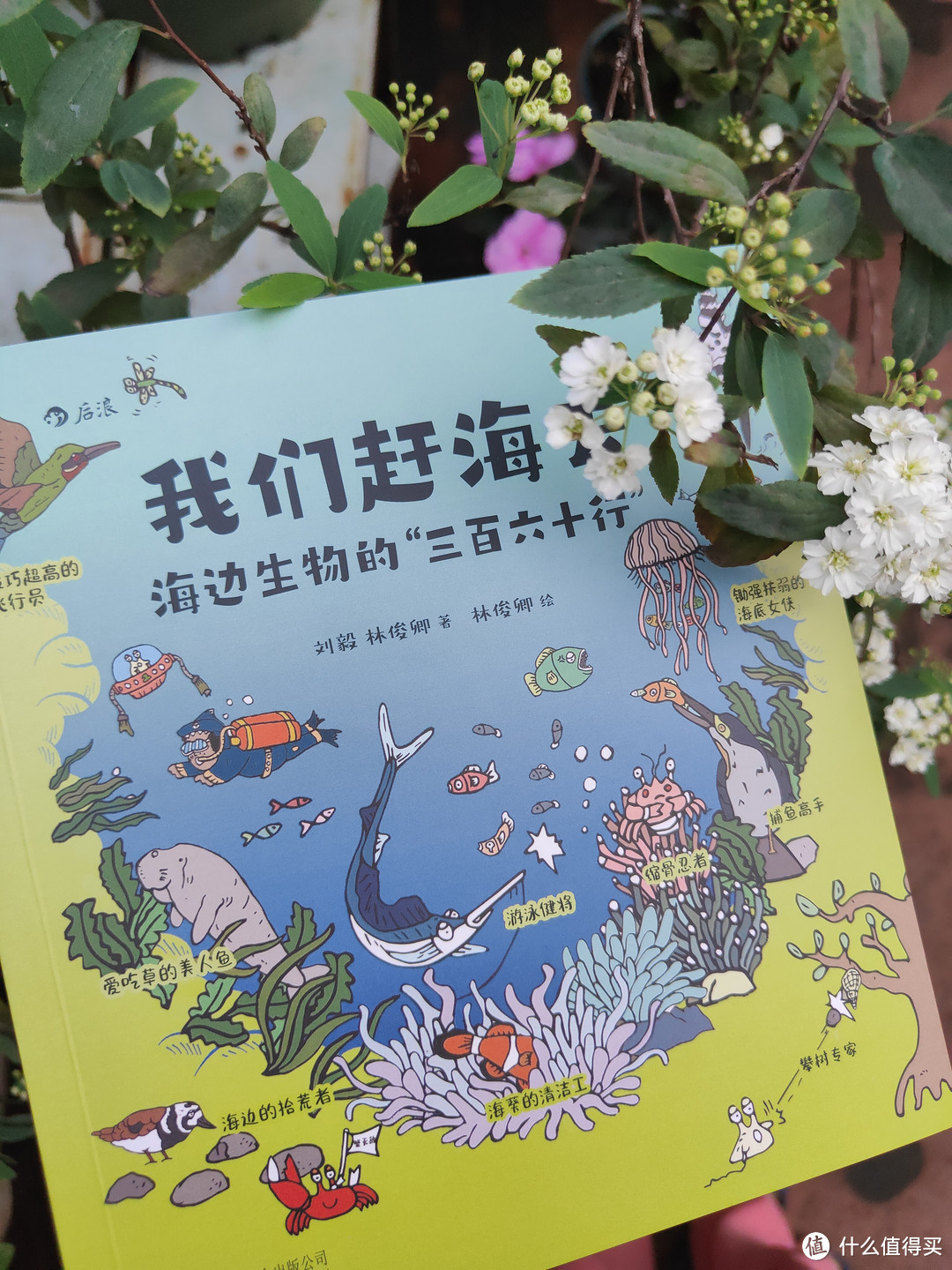 带着海洋生物科普漫画书书-《我们去赶海》