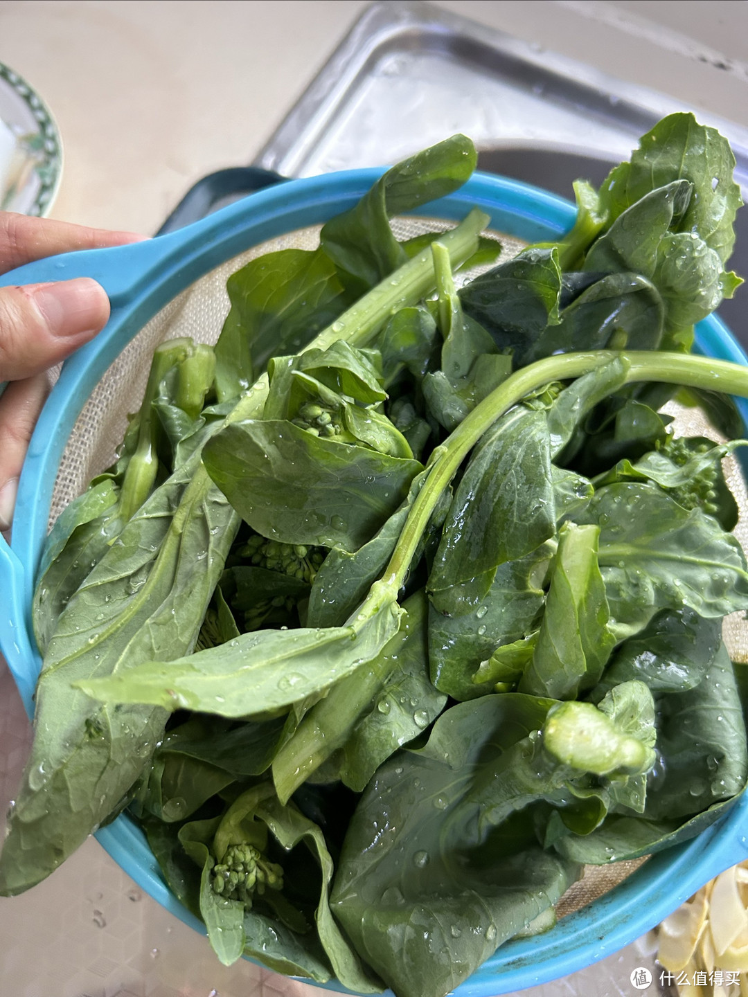 我和“松茸菇七兄弟”联手大战春季美食