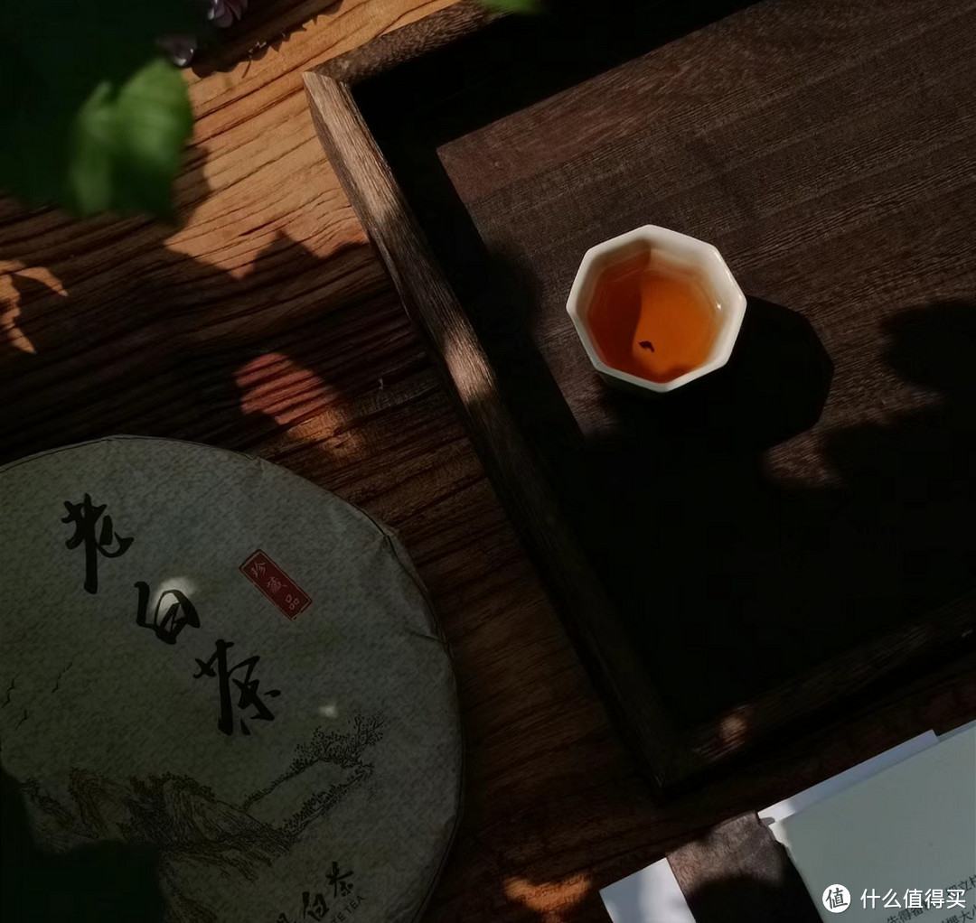 春季喝什么茶，打工人优雅喝茶