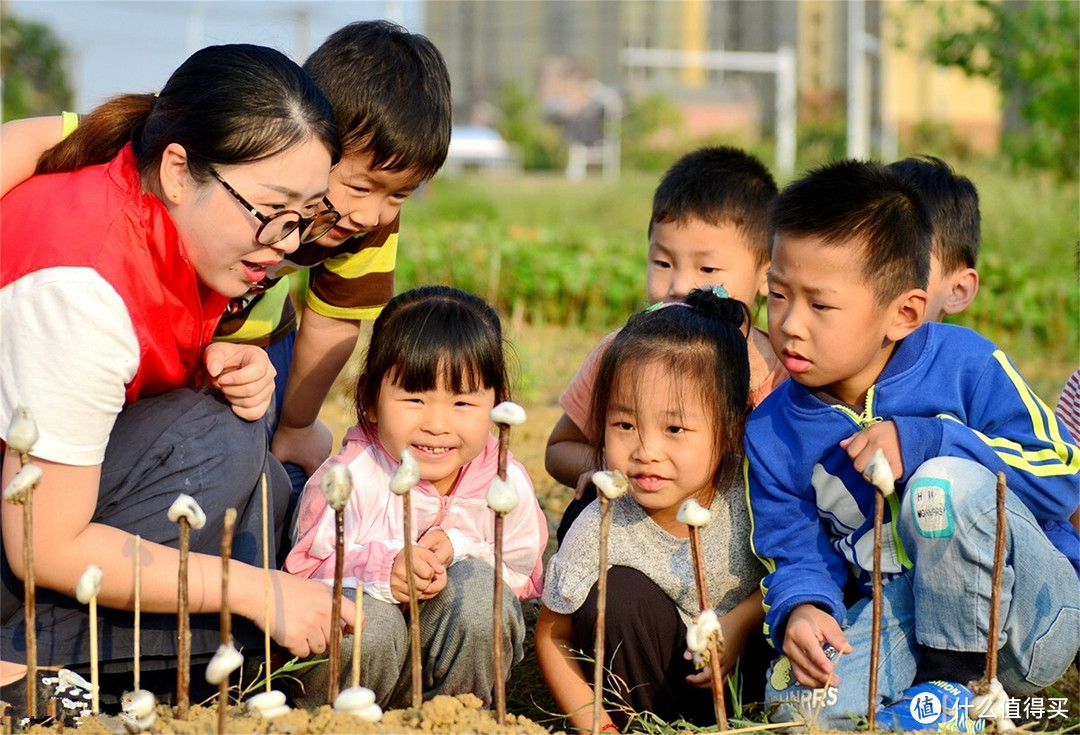 明日春分，别忘：竖鸡蛋，吃2样，做3事，老传统别丢了，迎春纳福