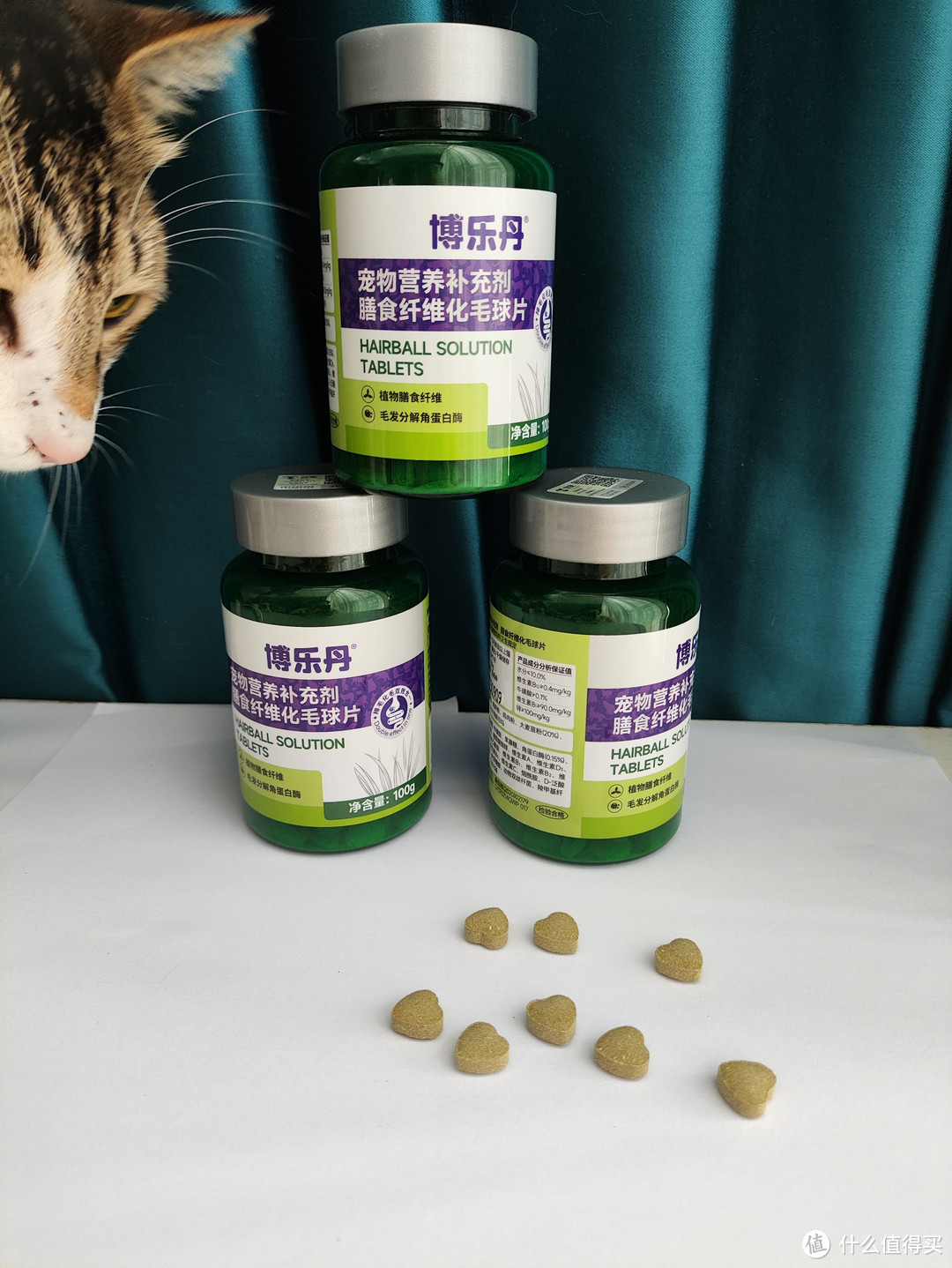 养猫猫不费钱，只是费铲屎官