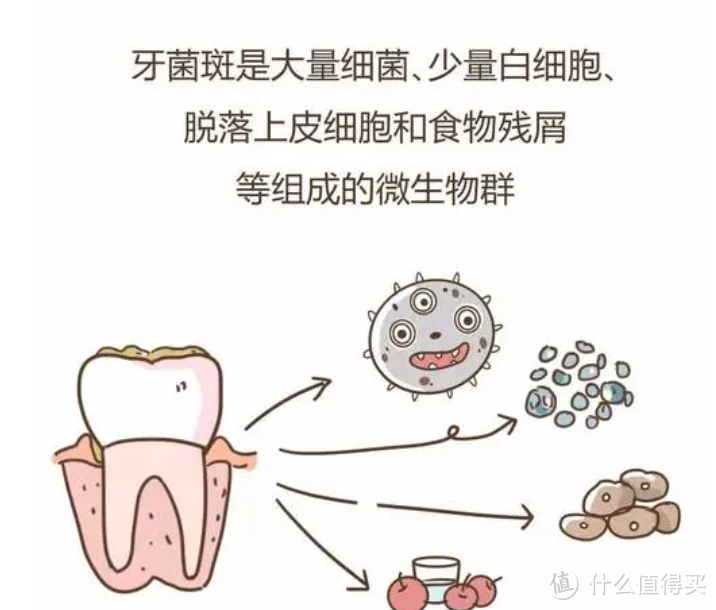 2024高品质电动牙刷推荐！汇总电动牙刷测评：扉乐、徕芬、飞利浦、松下、usmile等爆款机型怎么选？