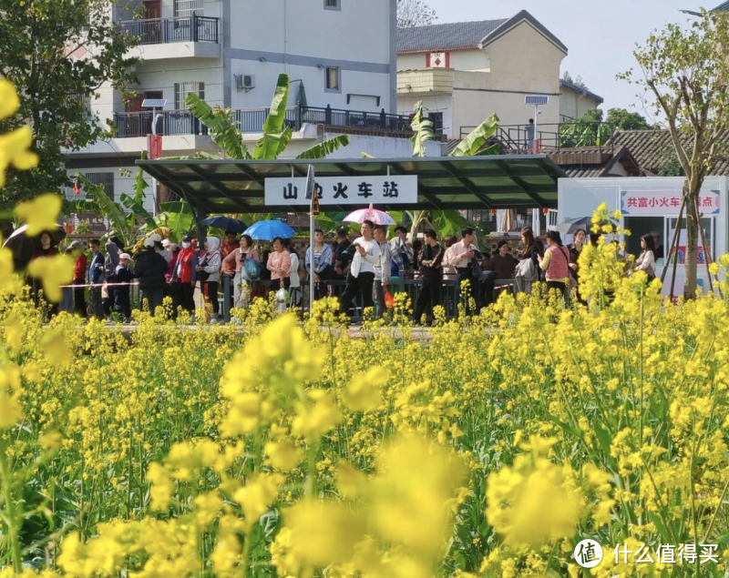 山边村游玩攻略：踏春赏花，尽享田园乐趣与9.9超值福利