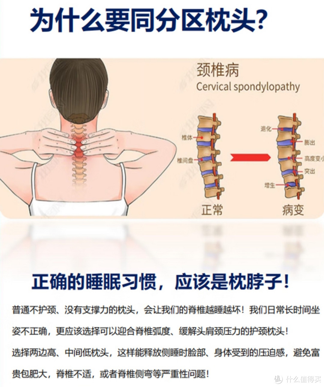 七西（7C）玻尿酸记忆棉美妍枕睡眠枕蝶形颈椎枕头释压慢回弹无压枕芯 玻尿酸美妍枕宁静蓝