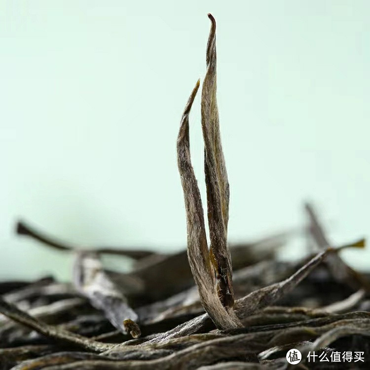 明星都在喝！八马早春绿茶，180g大包装！