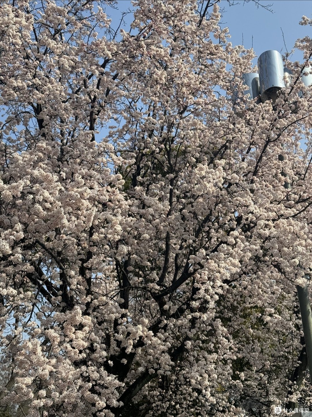 小徐の关西之行