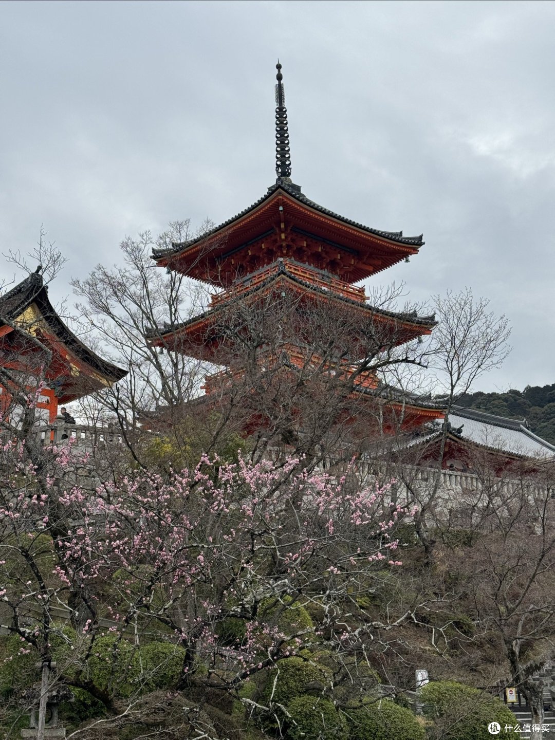 小徐の关西之行