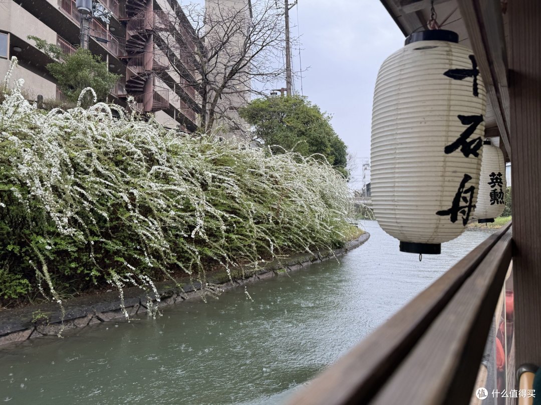 和野生小伙伴坐了十石舟的船（可惜樱花没开