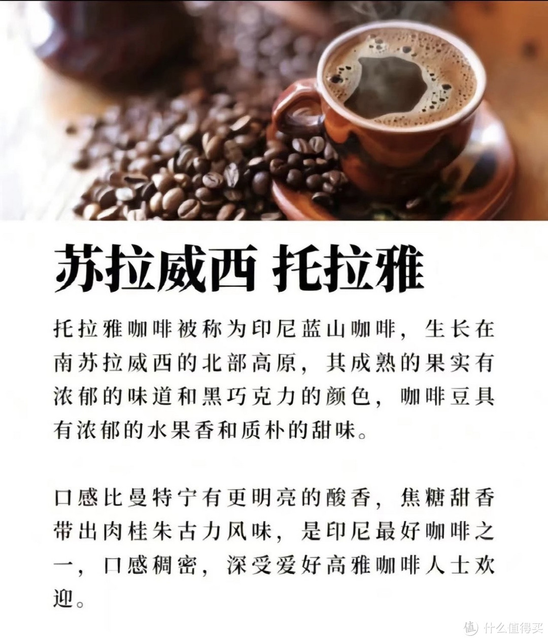 带杯咖啡去搬砖最好喝的九种咖啡豆