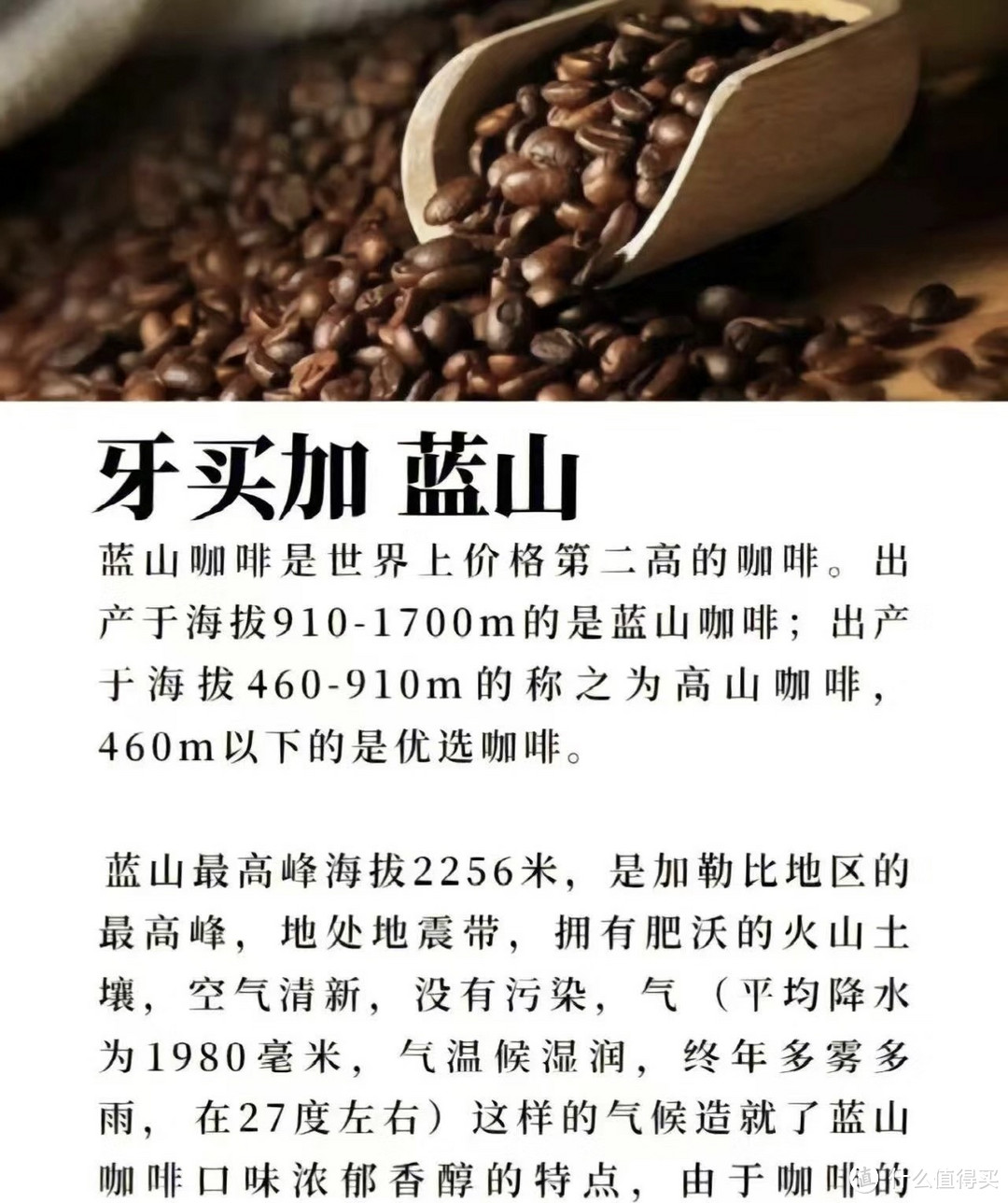 带杯咖啡去搬砖最好喝的九种咖啡豆