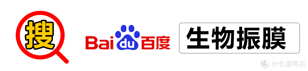 双飞燕Biosong生物丽声耳机：音质出众，37年技术沉淀，让你耳朵健康享受音乐！