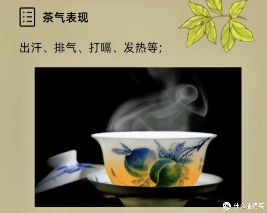 茶叶大揭秘+精选好茶推荐，让老茶友都羡慕哭了！