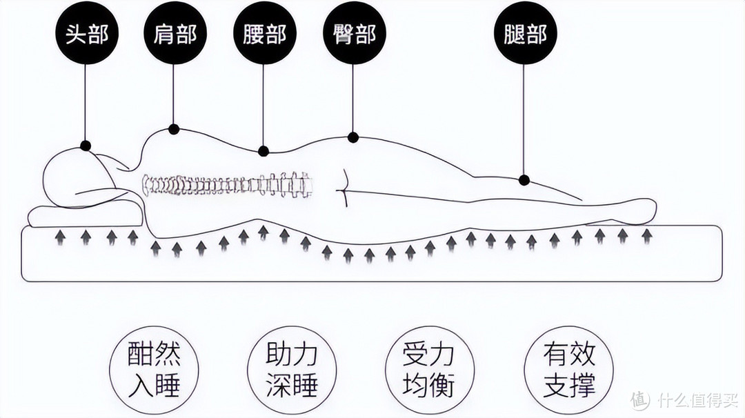 世界睡眠日丨生态为本，健康为核，优质睡眠中车大自然解决方案