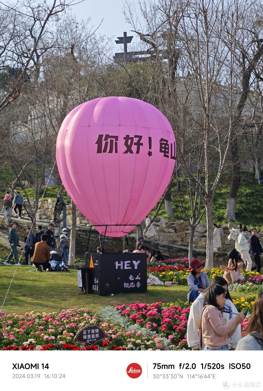 小屏旗舰小米14 赏樱拍照多图对比（附武汉小众赏樱花地点推荐）