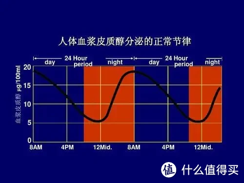 减脂、增肌、塑形？皮质醇先了解一下！哪些因素会导致皮质醇身高？少喝咖啡，多养猫试试看