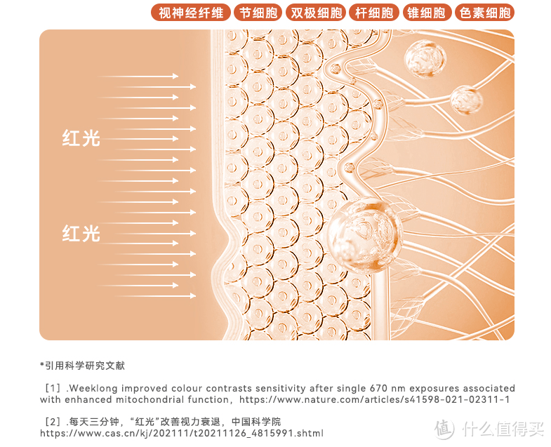 学生护眼台灯哪种好？五款必选的高口碑护眼台灯分享