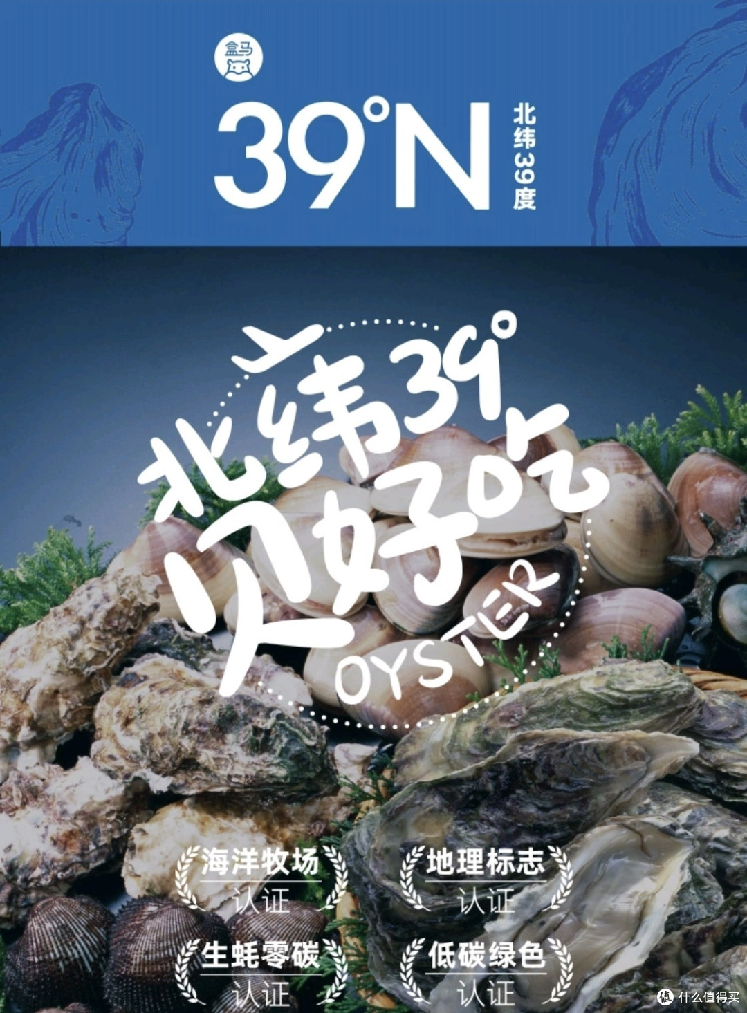 春日生蚝盛宴,你尝鲜了吗?