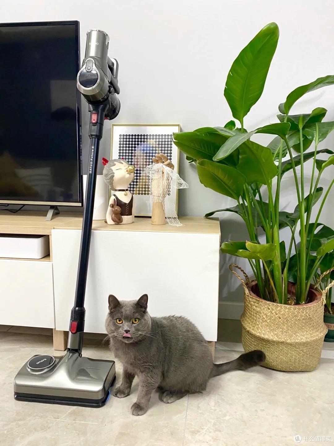 浙江一五口之家火了,蜗居48㎡小屋,照样住得舒适惬意,真幸福!