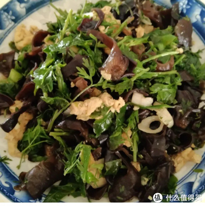 今天带 枸杞头凉拌黑木耳