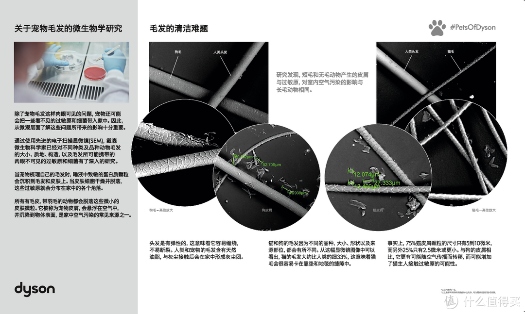 人宠关系变了，“家”也变了