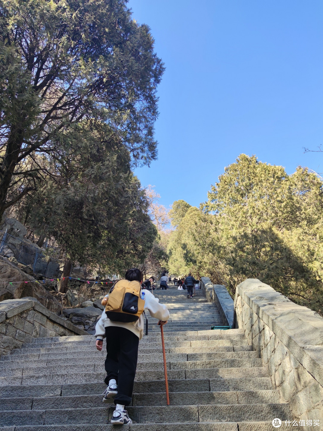 我上春山，约你来见，小小泰山，轻松拿捏！