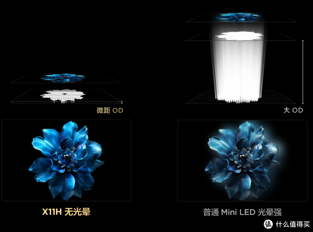 2024年什么高端电视值得买？万级分区QD-Mini LED？详细解析TCL X11H有哪些过人之处