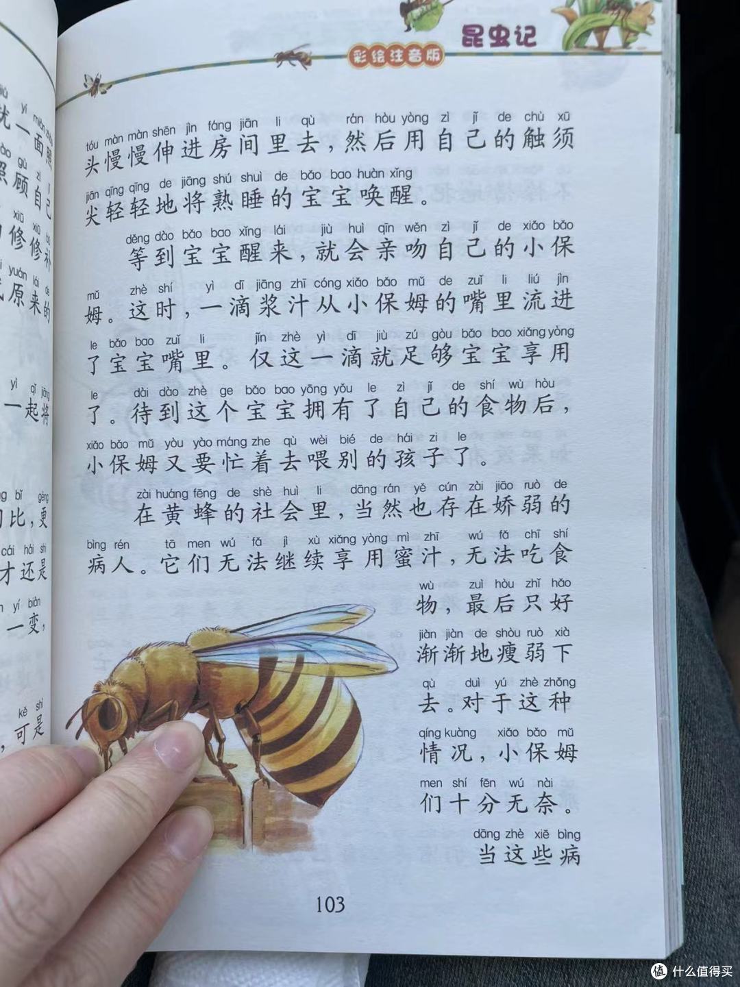 和娃一起读《昆虫记》之黄 蜂