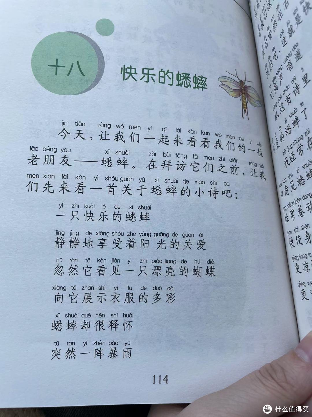 和娃一起读《昆虫记》之快乐的蟋蟀