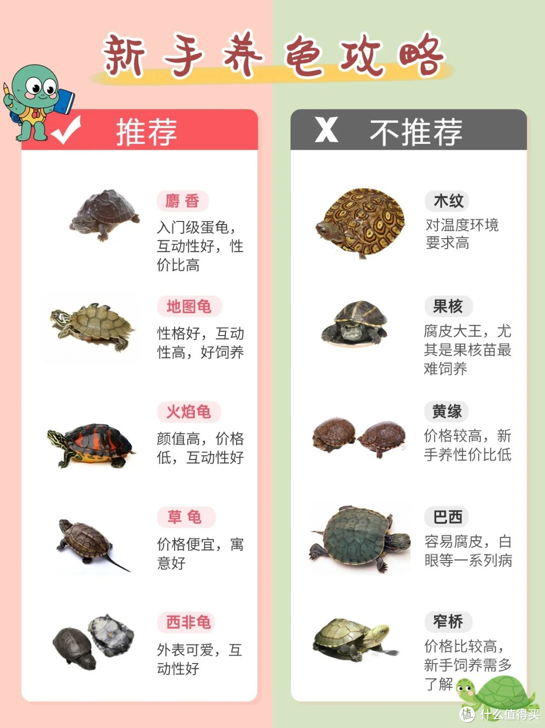 除了猫和狗，我们还能养哪些宠物？