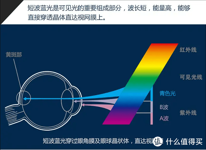 护眼台灯哪个牌子最好？多款满分护眼台灯自用分享