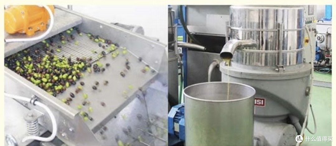 橄榄油更好吗?橄榄油选购攻略