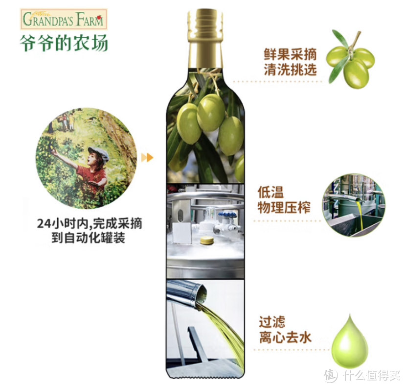 橄榄油更好吗?橄榄油选购攻略