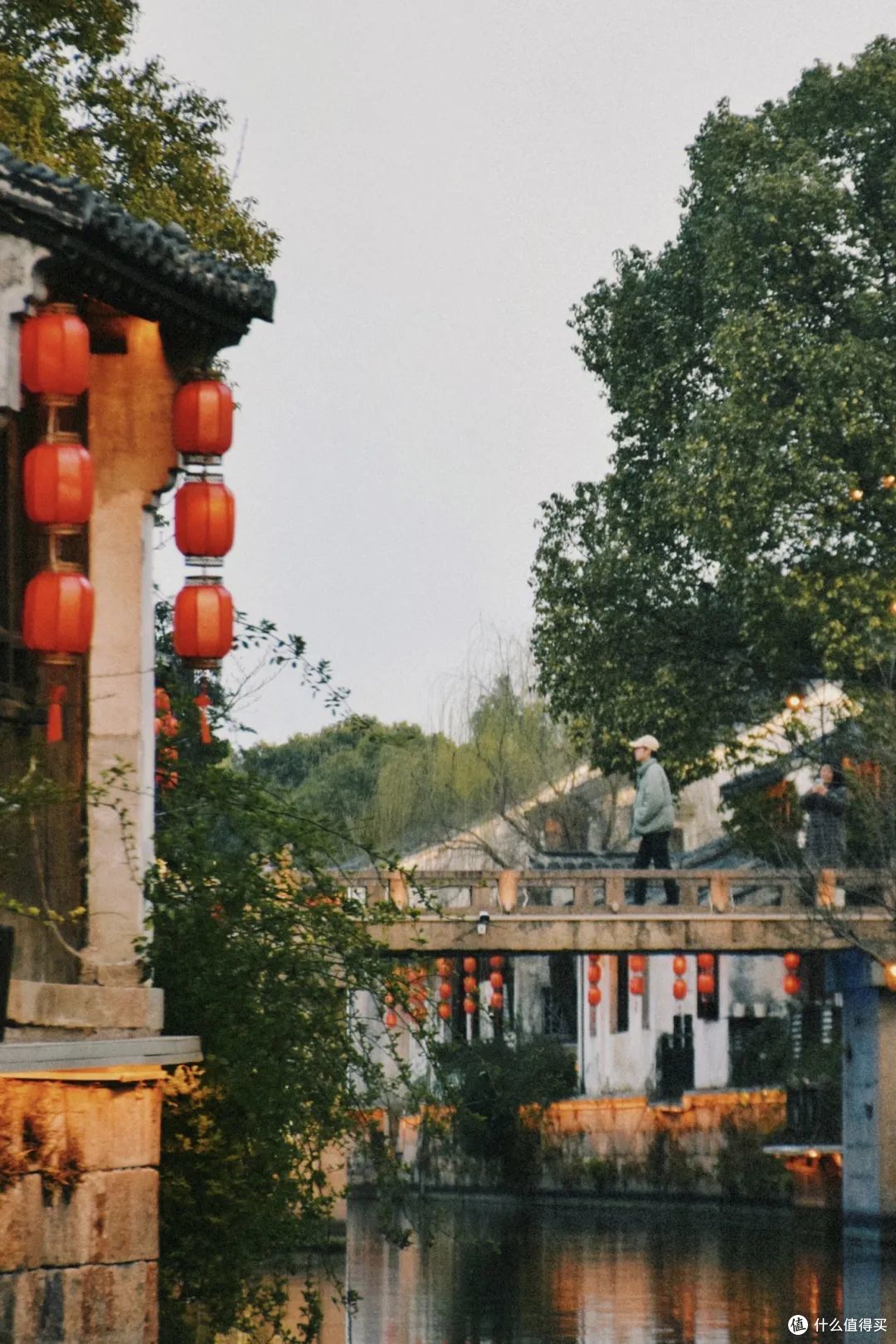无锡樱花开了,将赏樱干货和小众local玩法一起打包给你