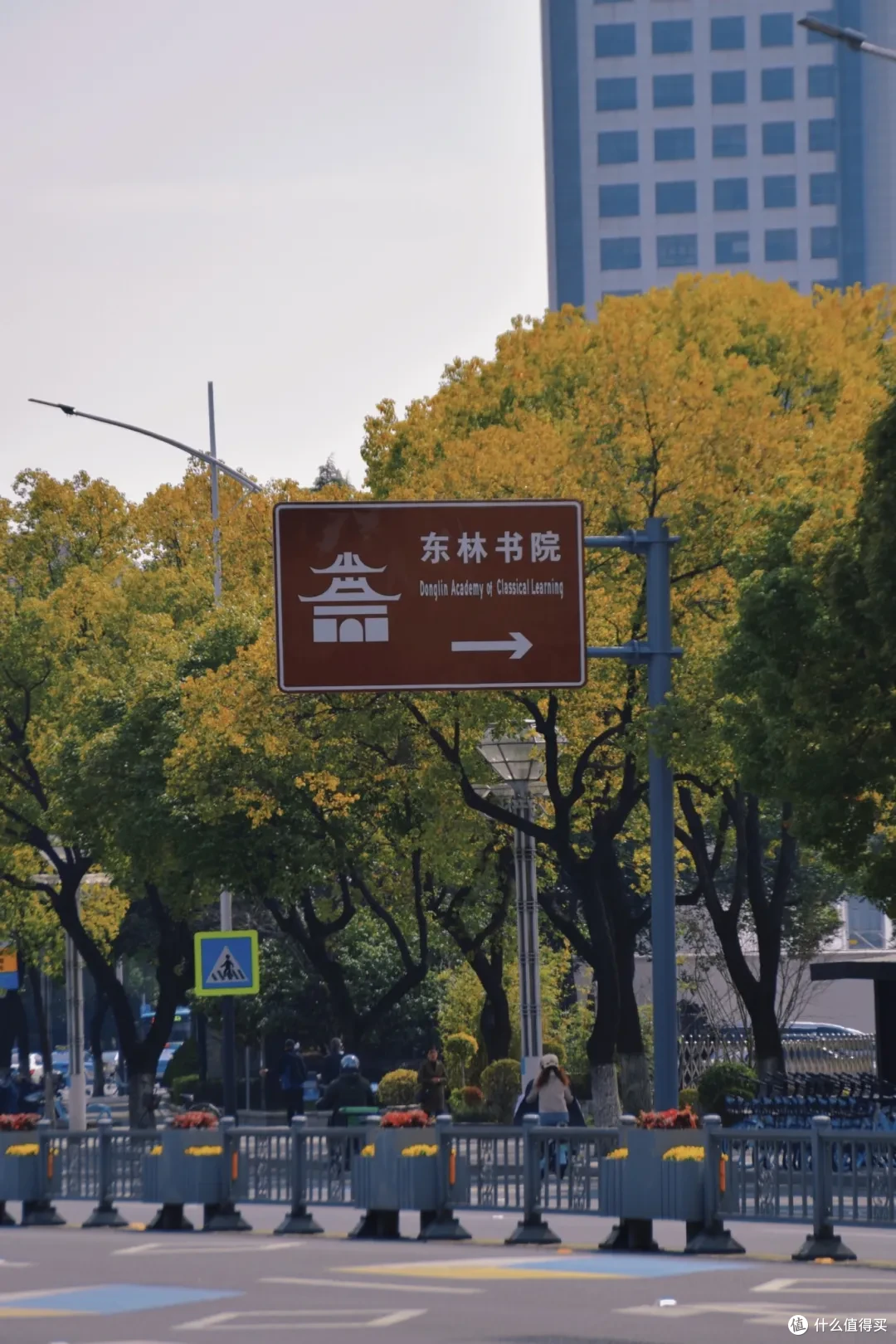 无锡樱花开了,将赏樱干货和小众local玩法一起打包给你