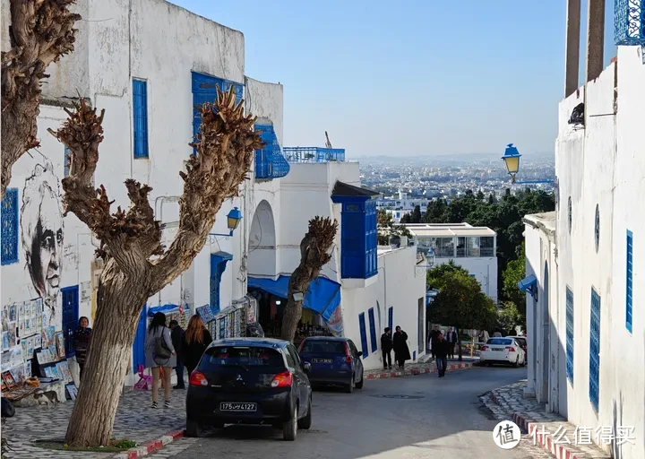 突尼斯攻略来了!地中海小国,古罗马遗迹众多!中国人免签北非旅行好选