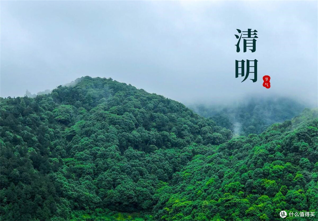清明节扫墓,记住"3要带3忌带",民间风俗有讲究,别出岔子了