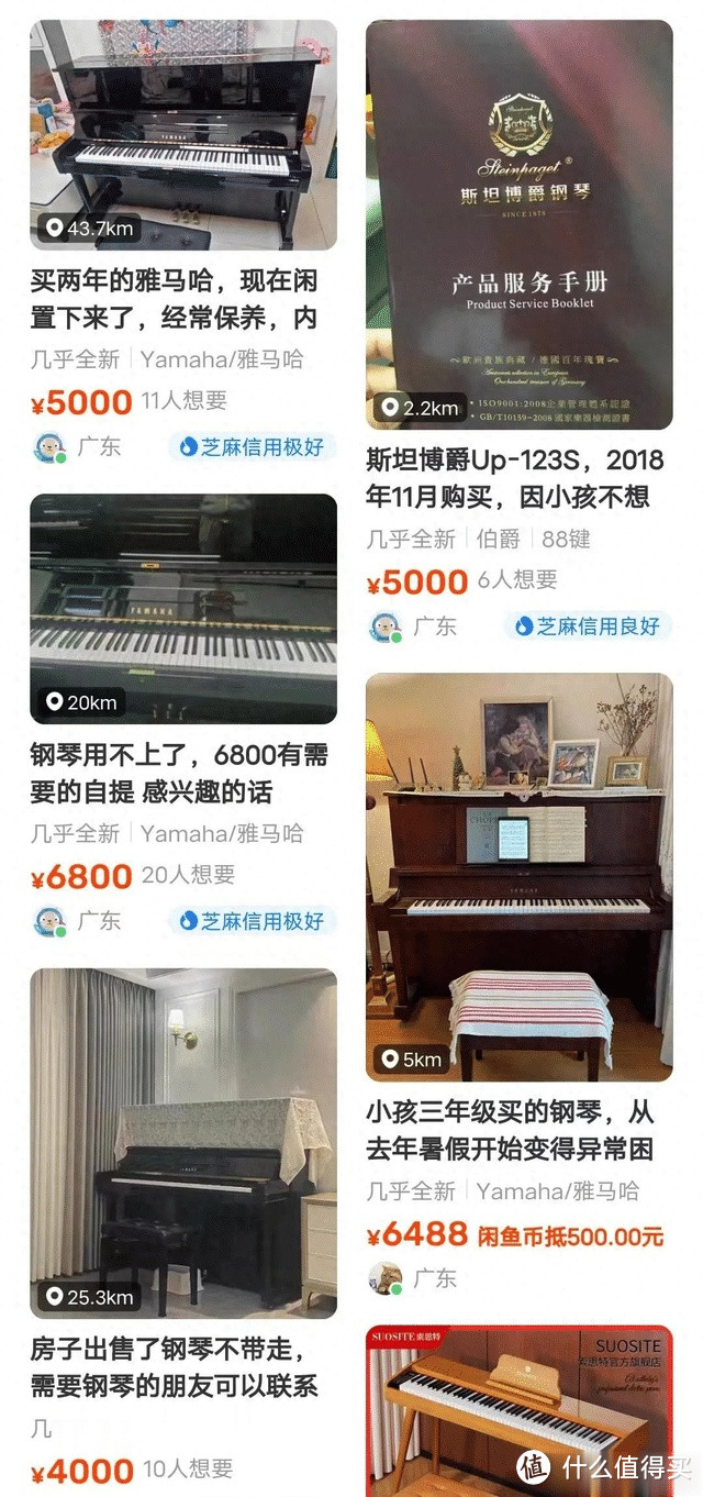 一年倒闭7000家！中产最爱的贵族大玩具，跌落神坛