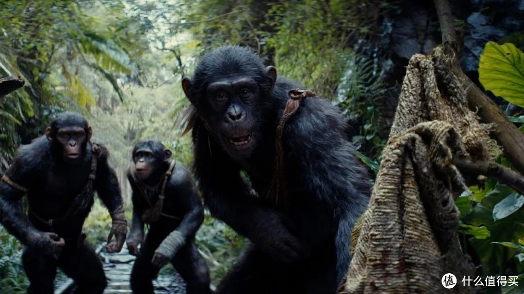 猩球崛起4：新世界 Kingdom of the Planet of the Apes (2024)