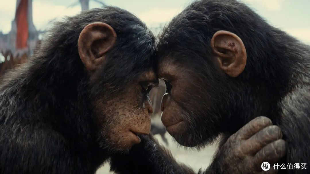 猩球崛起4：新世界 Kingdom of the Planet of the Apes (2024)