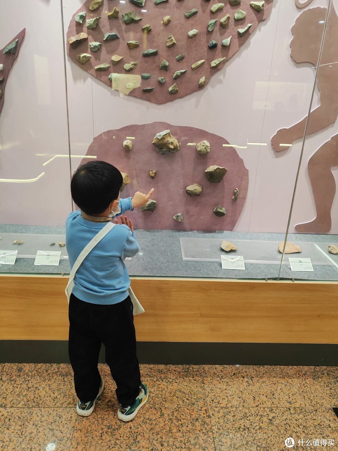 我在中国古动物馆摸到恐龙了