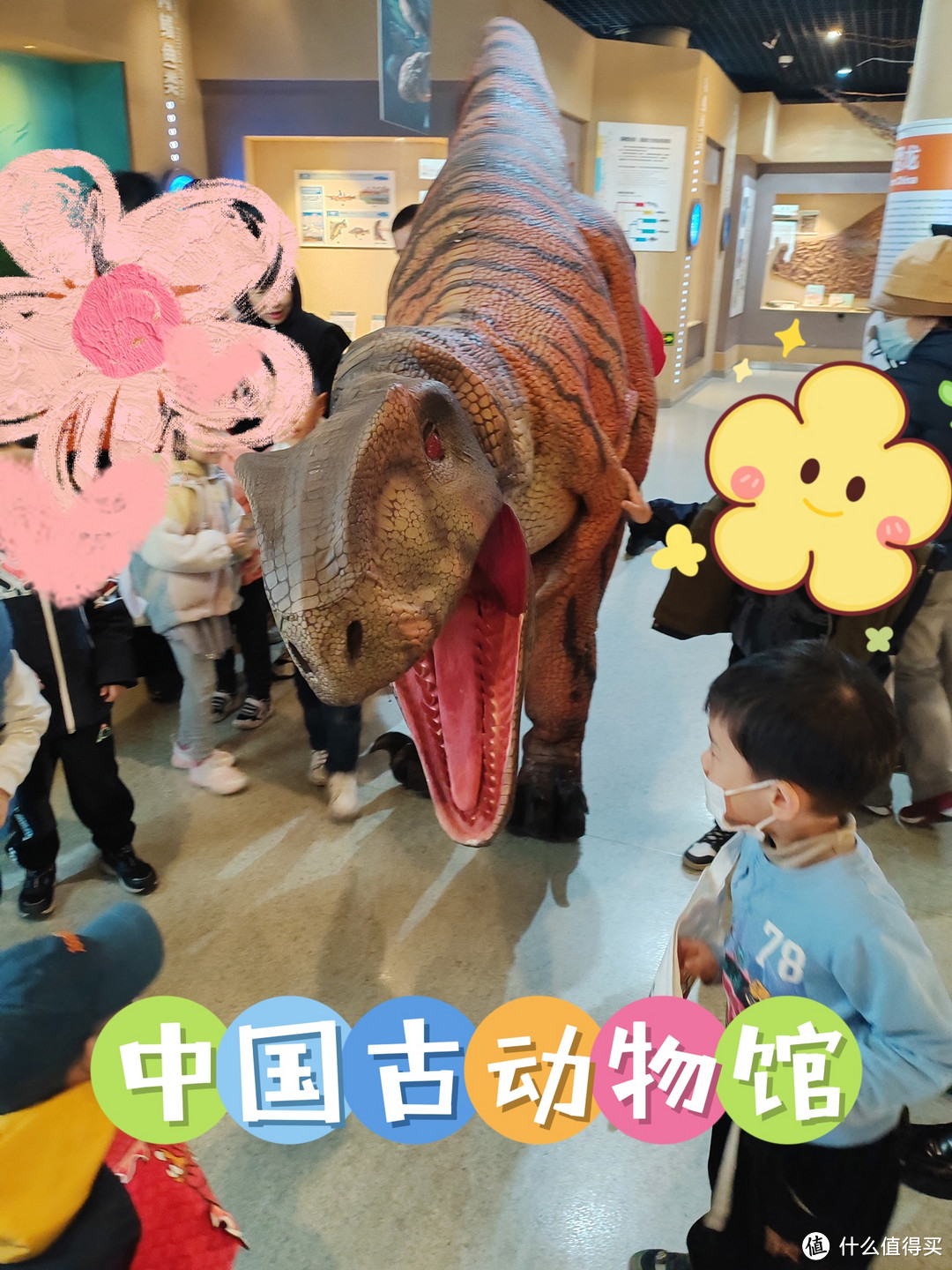 我在中国古动物馆摸到恐龙了