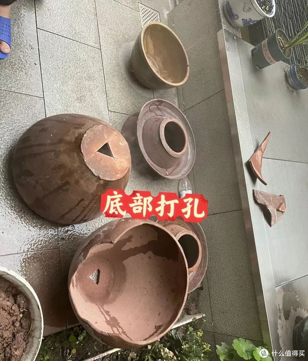 “废坛子”别扔了,用来“养多肉”,30天就能爆盆,太精致了!