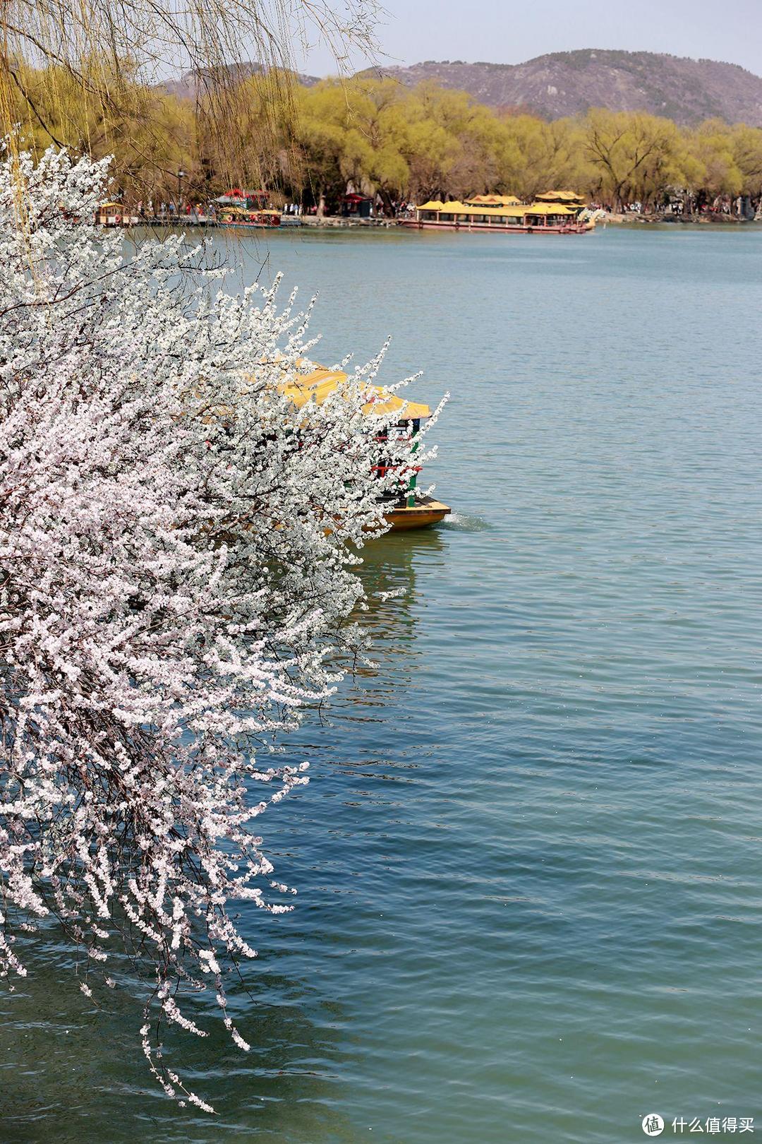 一镜走天下，春天的颐和园西堤是外景拍摄的首选