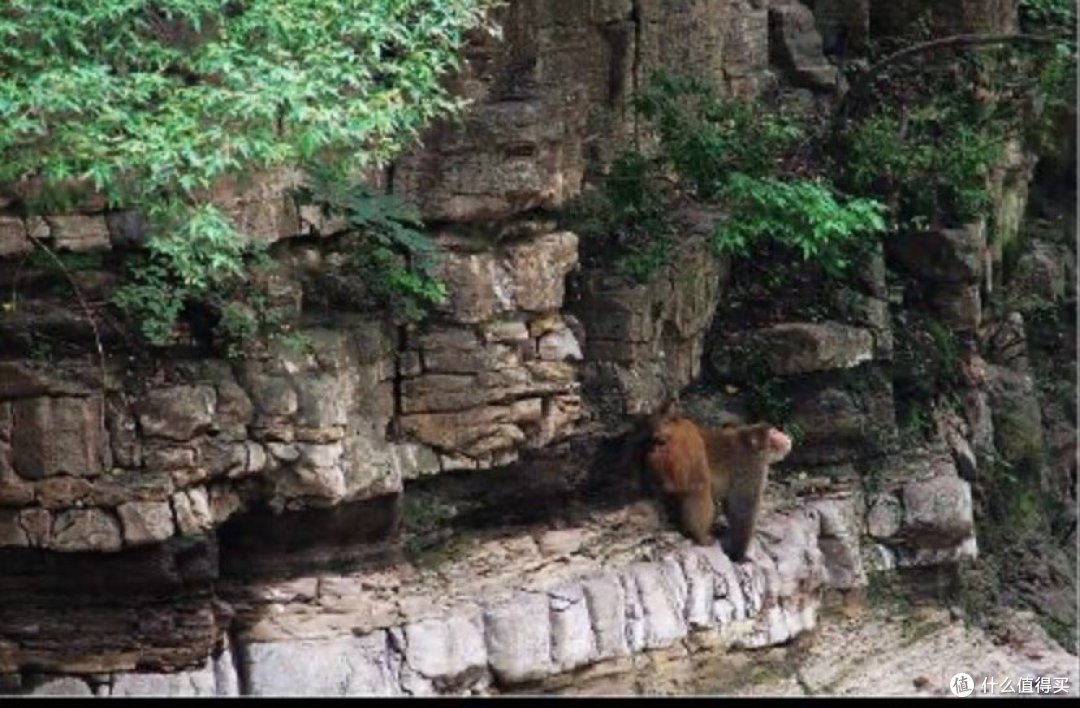 有哪些旅行地「堪称魔幻」?