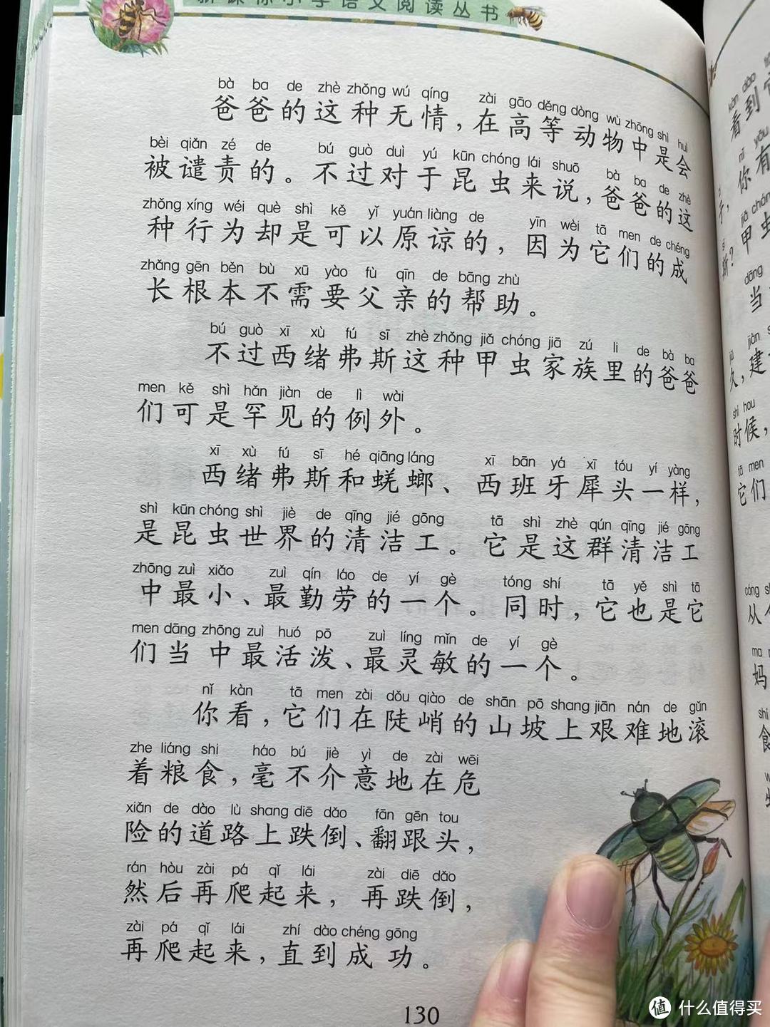 和娃一起读《昆虫记》之西绪弗斯