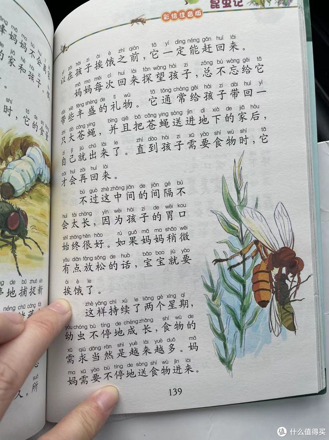 和娃一起读《昆虫记》之捕蝇蜂