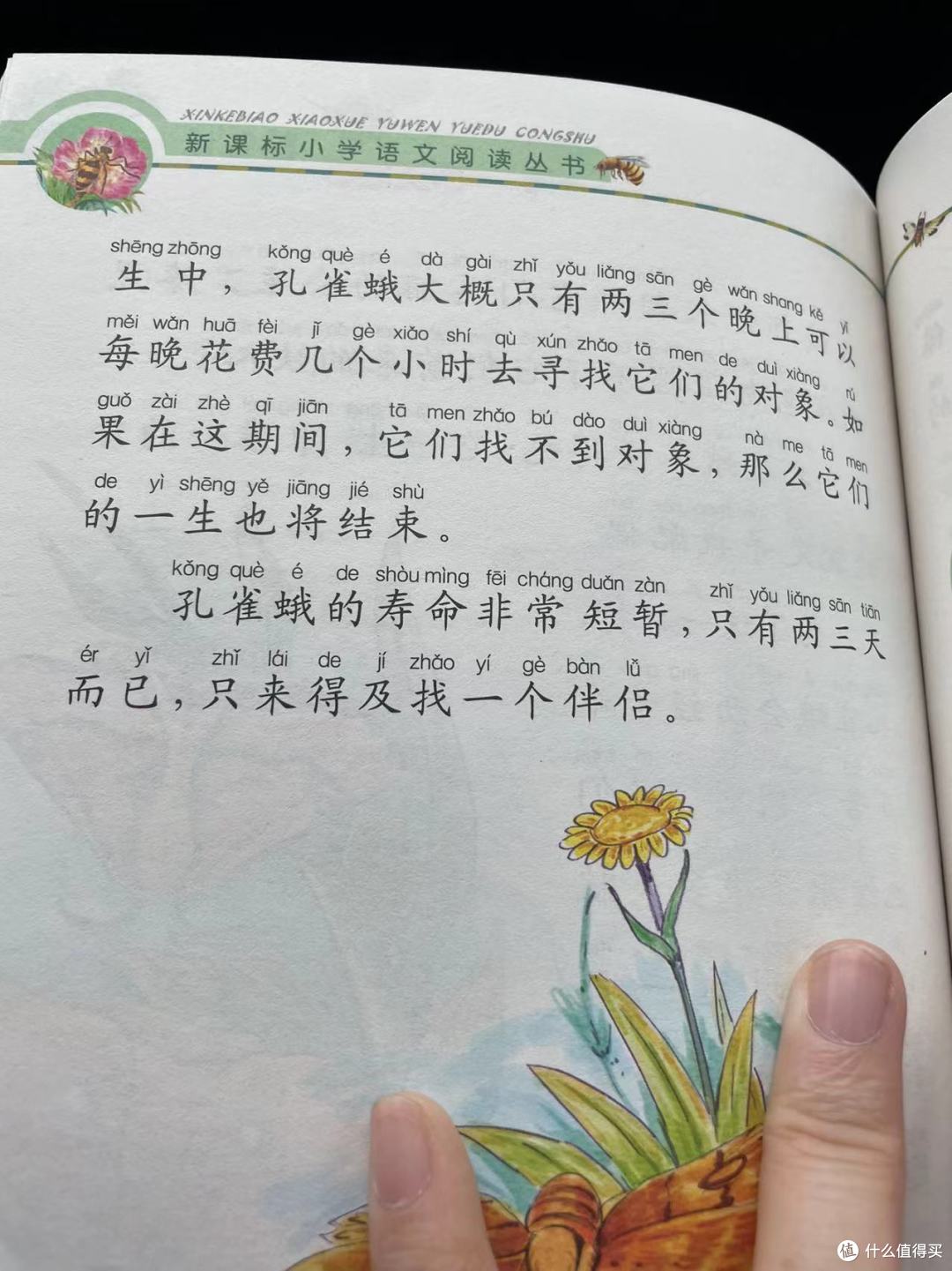 和娃一起读《昆虫记》之孔雀蛾