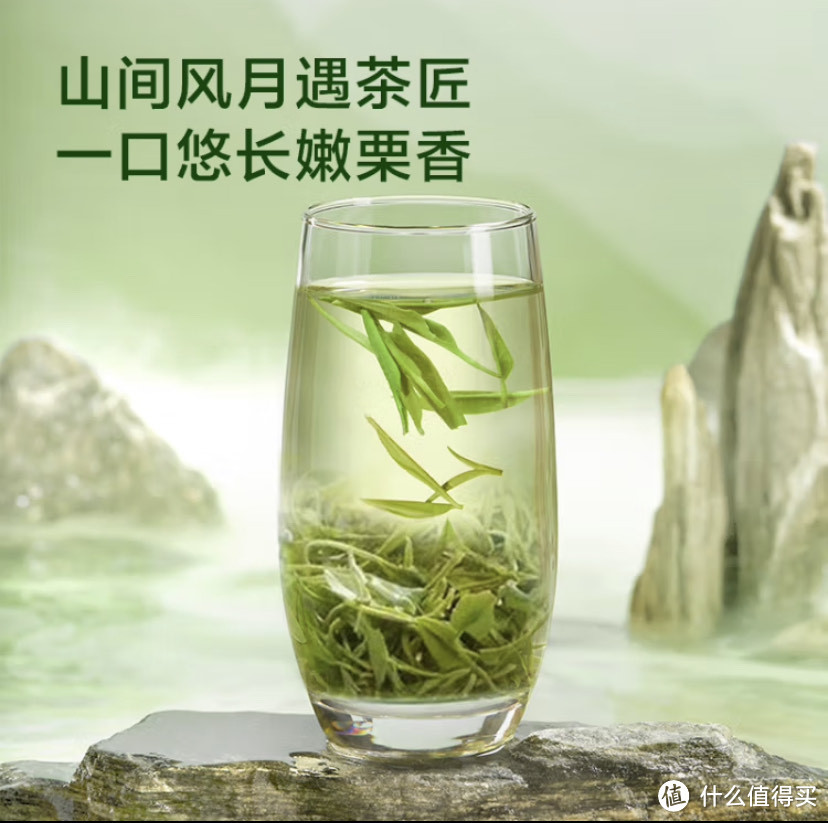 喝绿茶也要品，著名绿茶对比评测