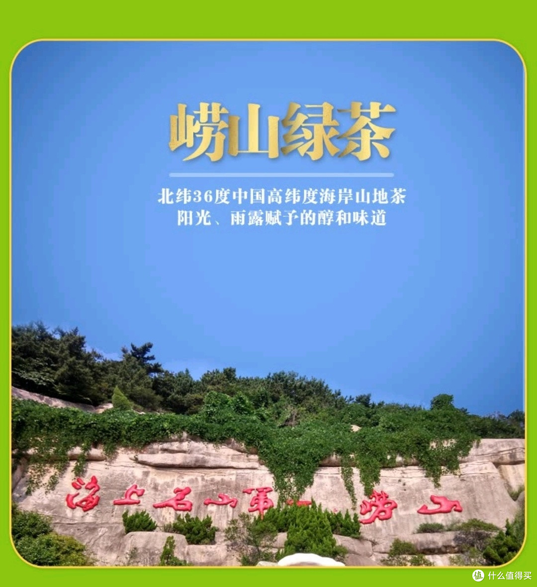山东茶韵独特,邀您共饮一杯文化的馥郁香醇!🌿👨👩👧👦